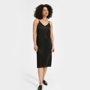Everlane Party Slip Dress